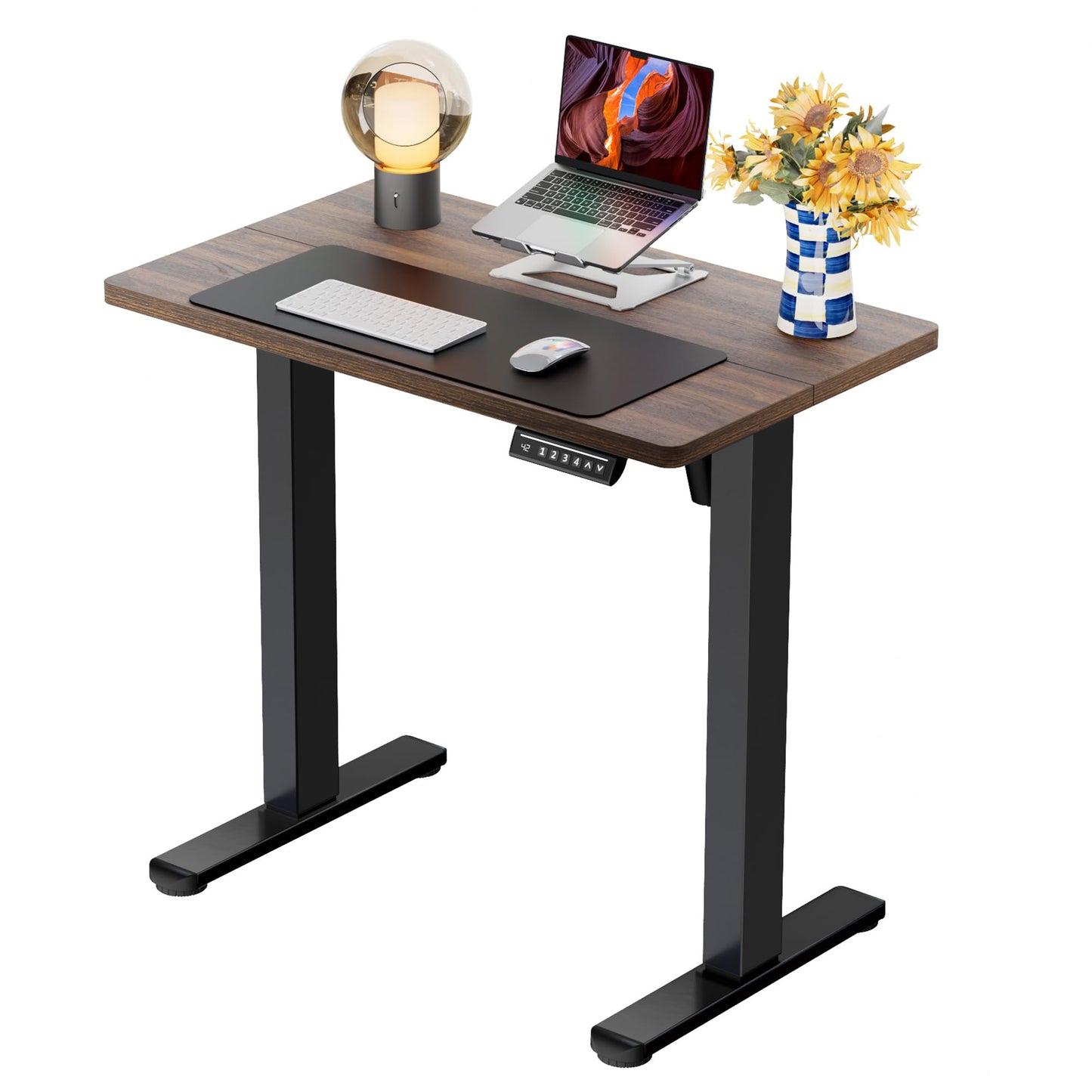 ErGear Height Adjustable Electric Standing Desk