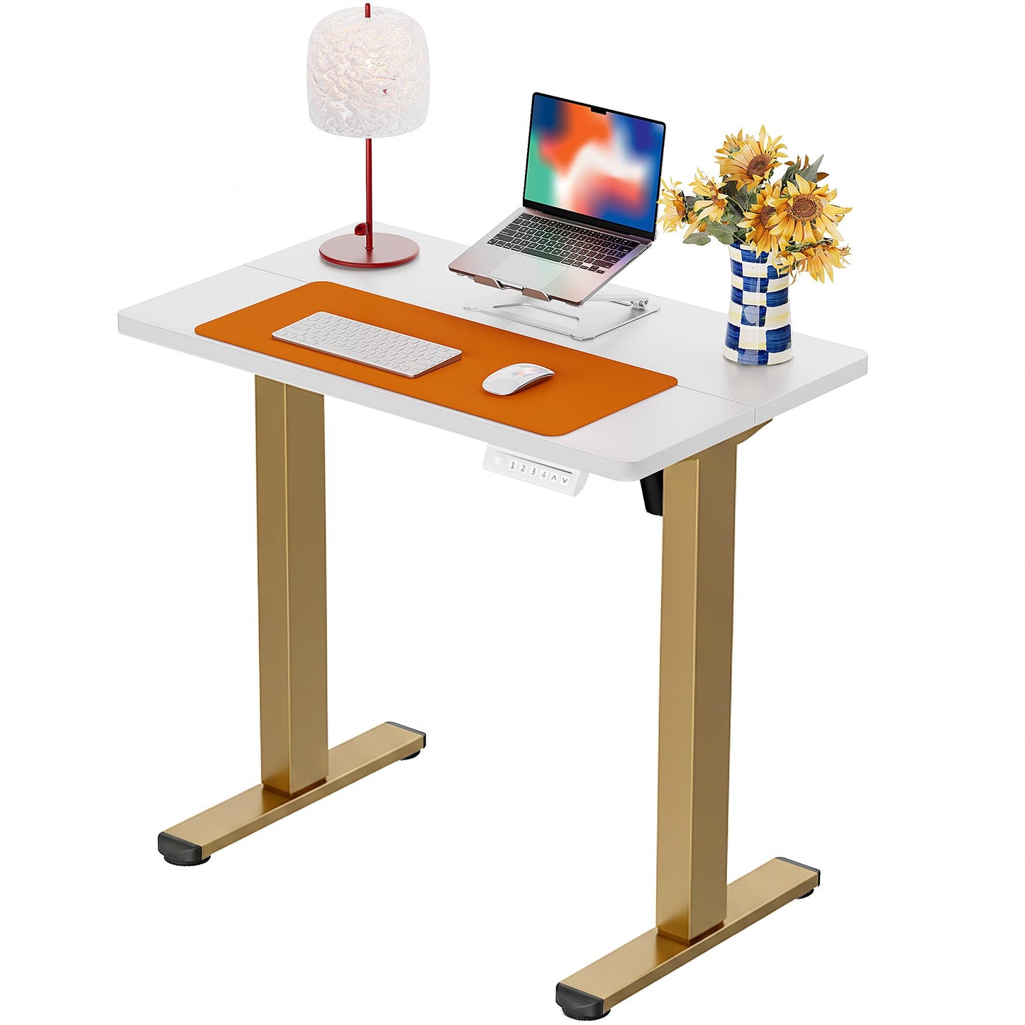 ErGear Height Adjustable Electric Standing Desk