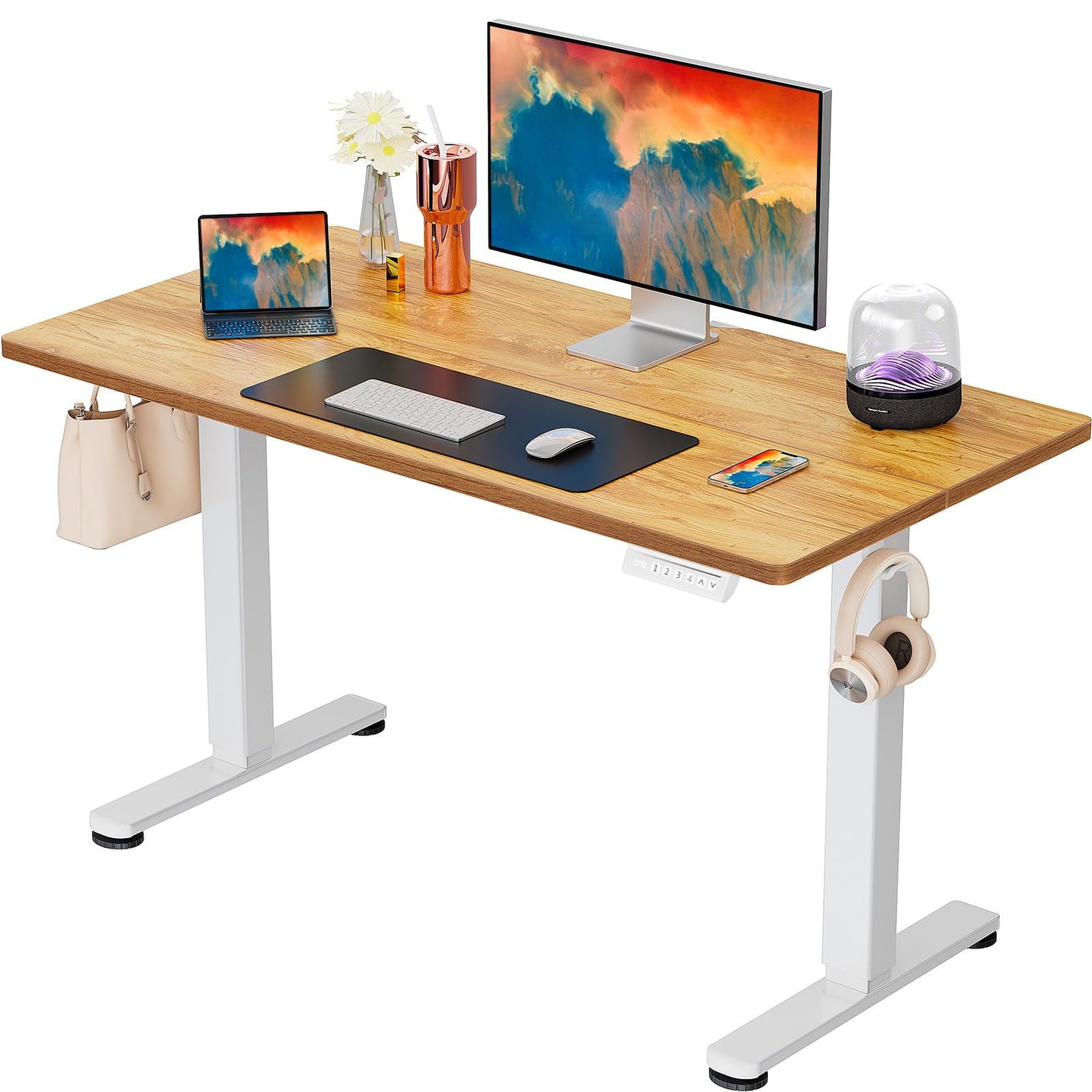 ErGear Height Adjustable Electric Standing Desk
