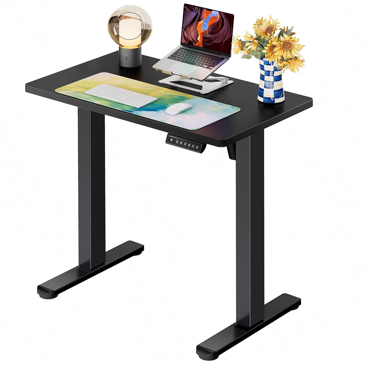 ErGear Height Adjustable Electric Standing Desk