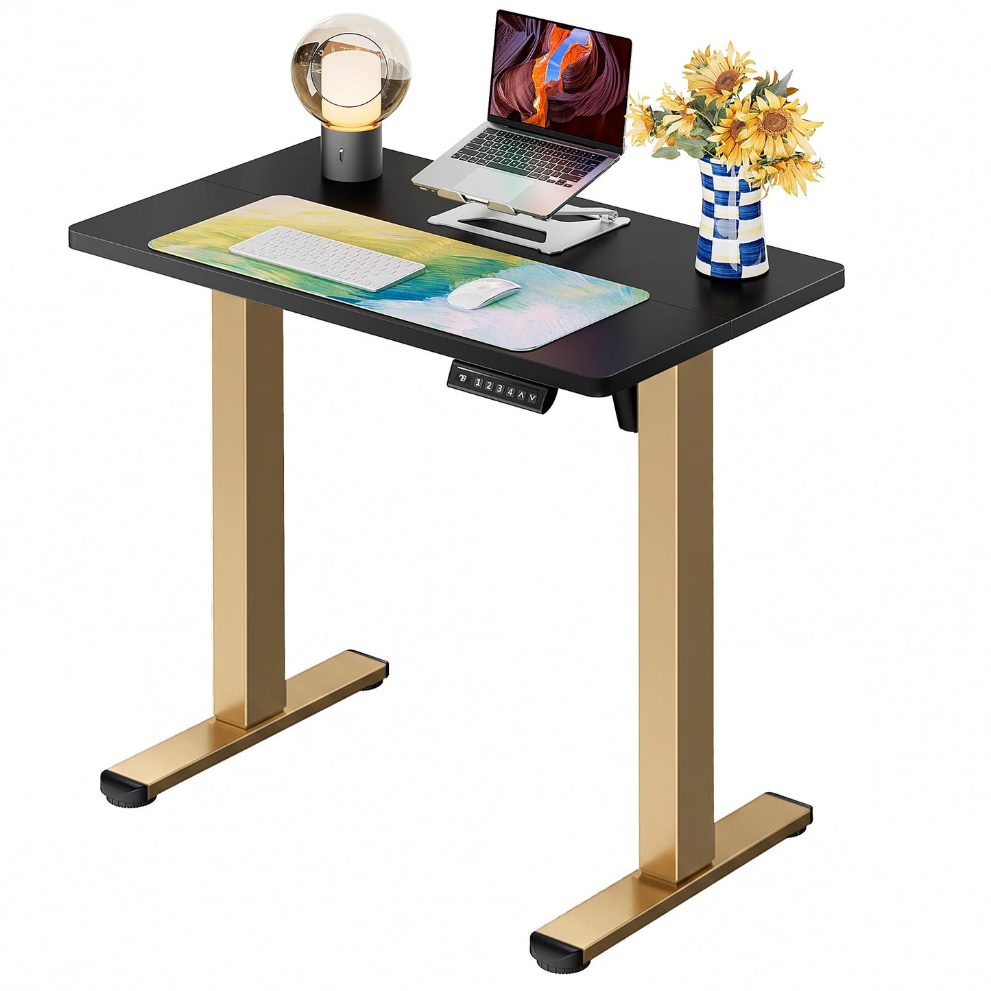 ErGear Height Adjustable Electric Standing Desk