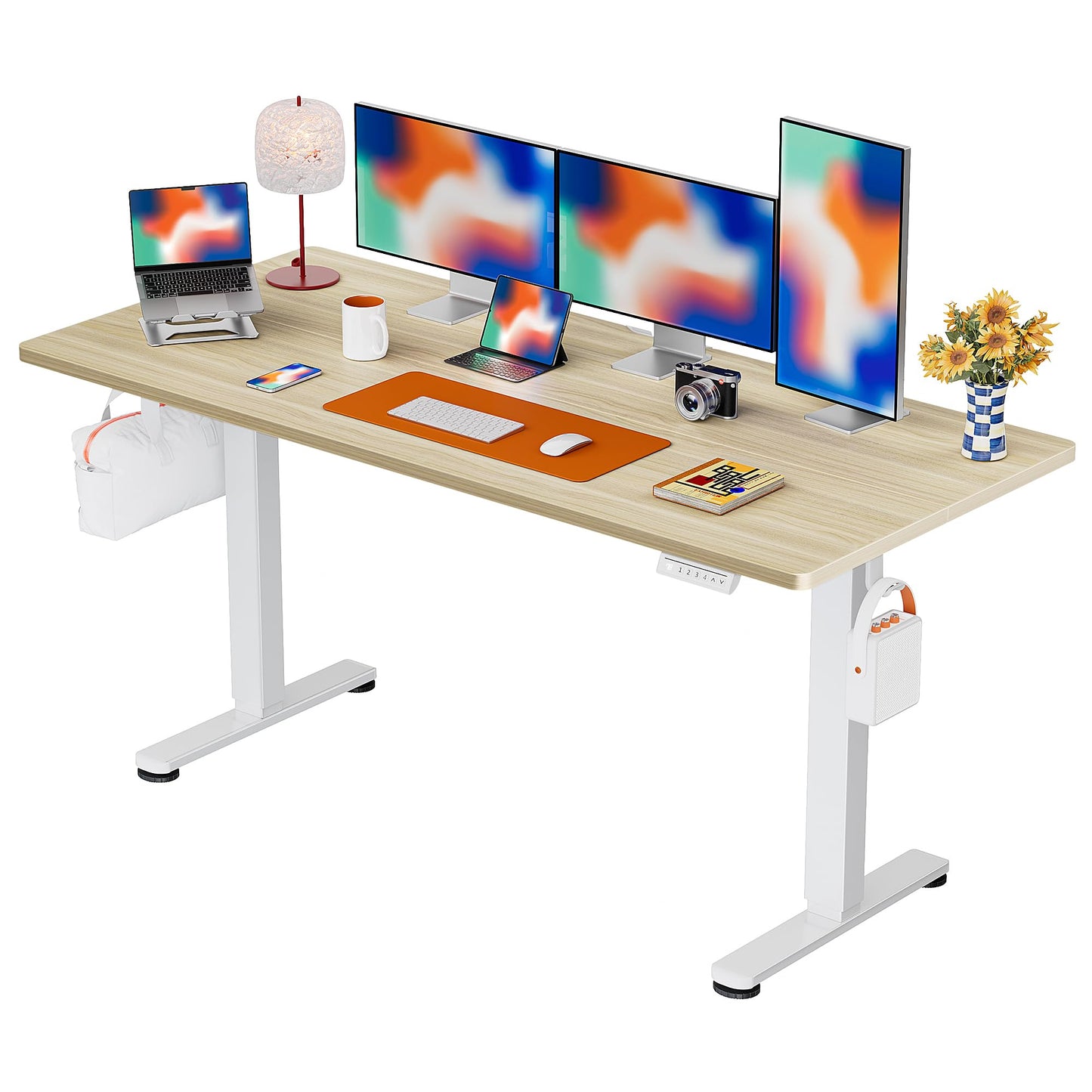 ErGear Height Adjustable Electric Standing Desk