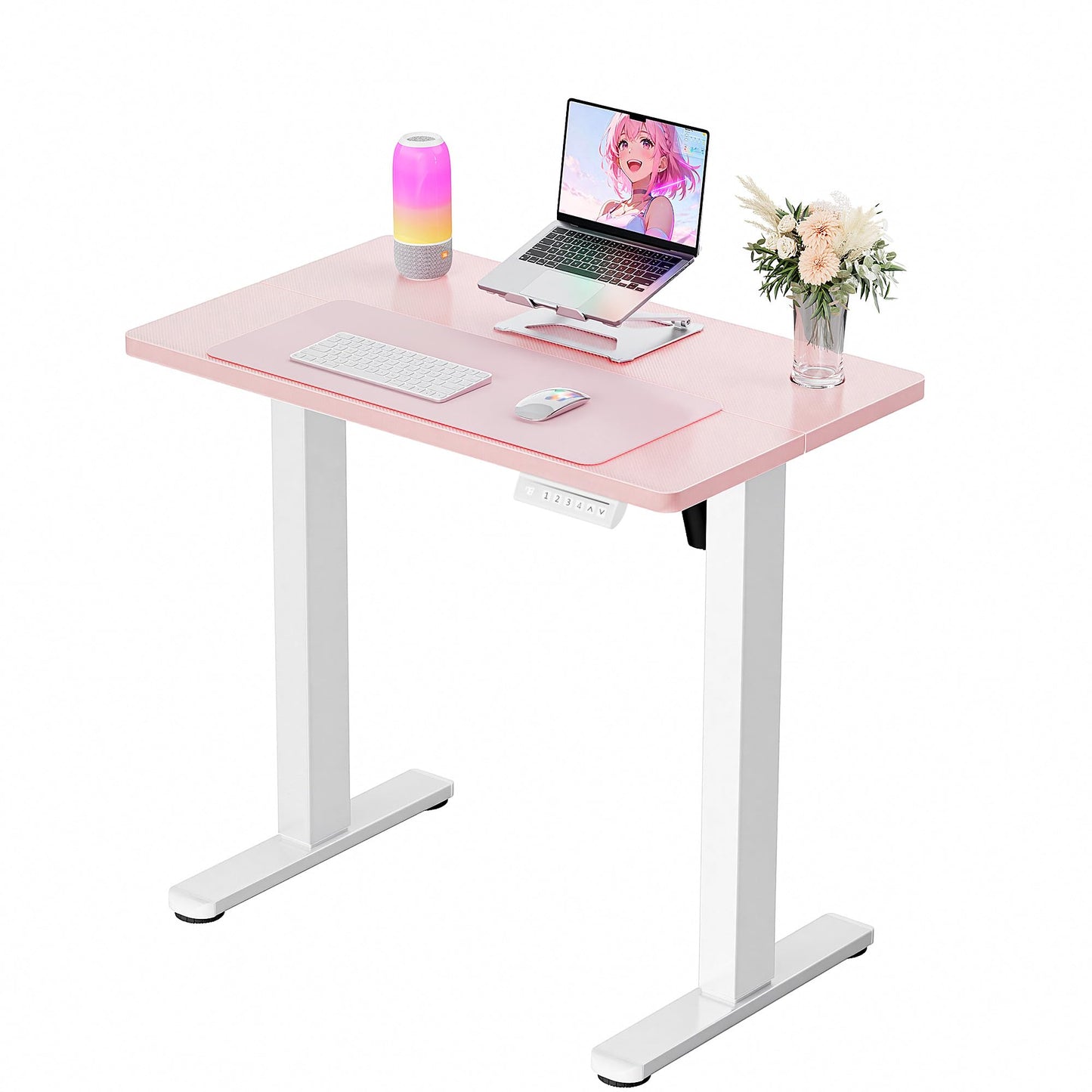 ErGear Height Adjustable Electric Standing Desk