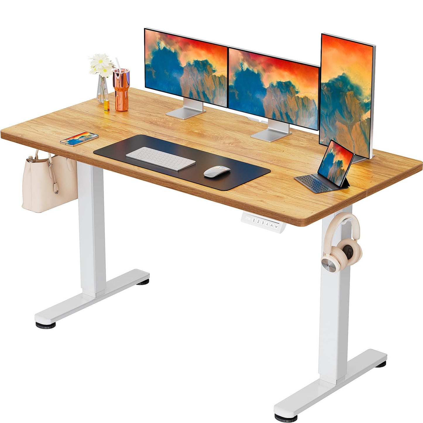 ErGear Height Adjustable Electric Standing Desk