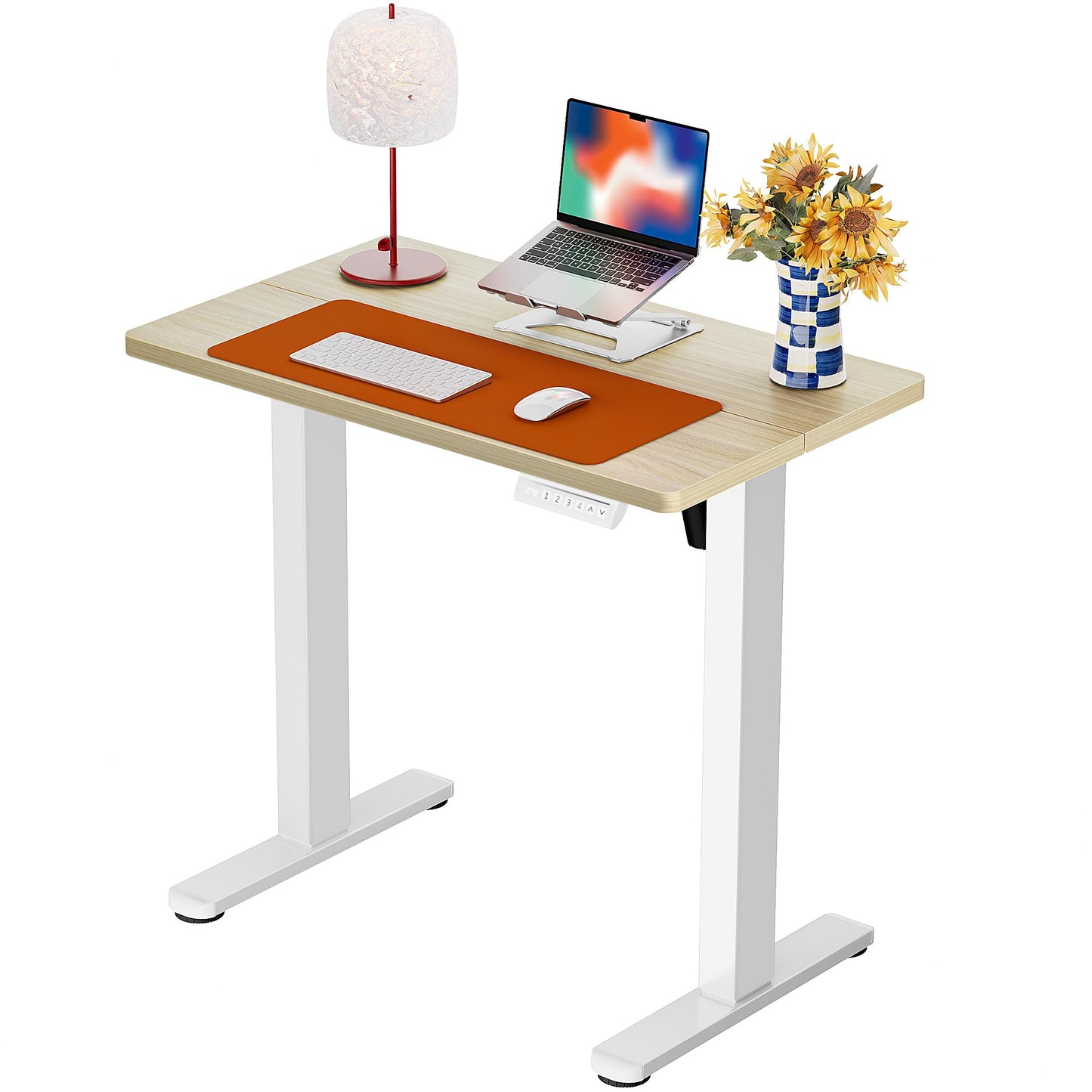 ErGear Height Adjustable Electric Standing Desk
