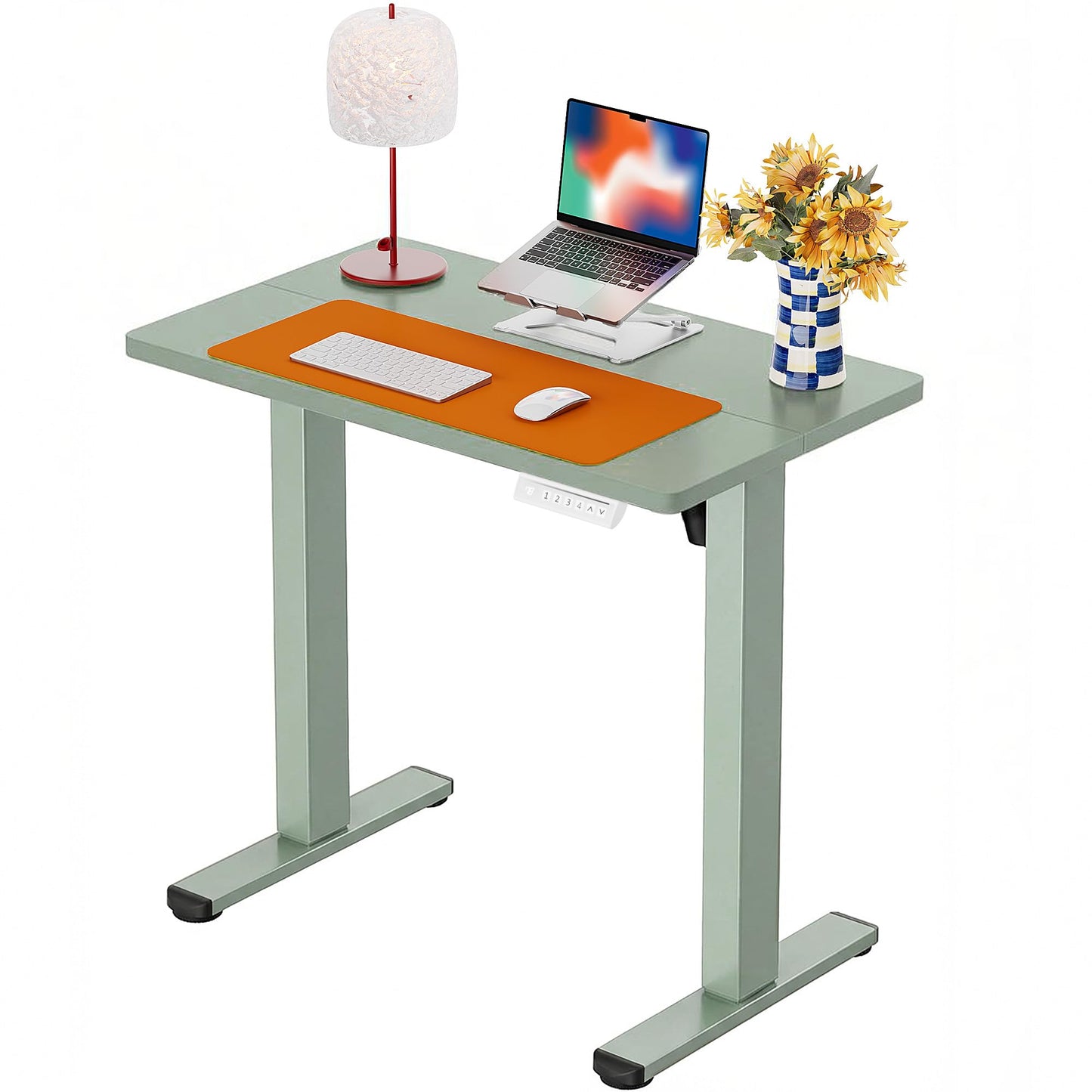 ErGear Height Adjustable Electric Standing Desk