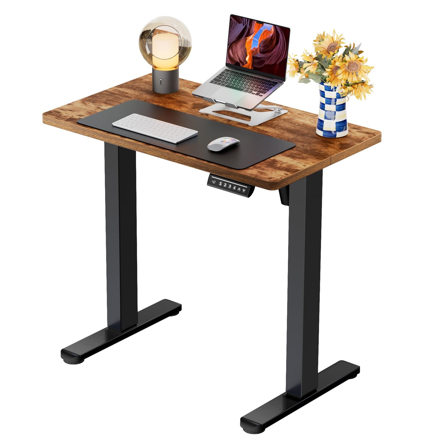 ErGear Height Adjustable Electric Standing Desk