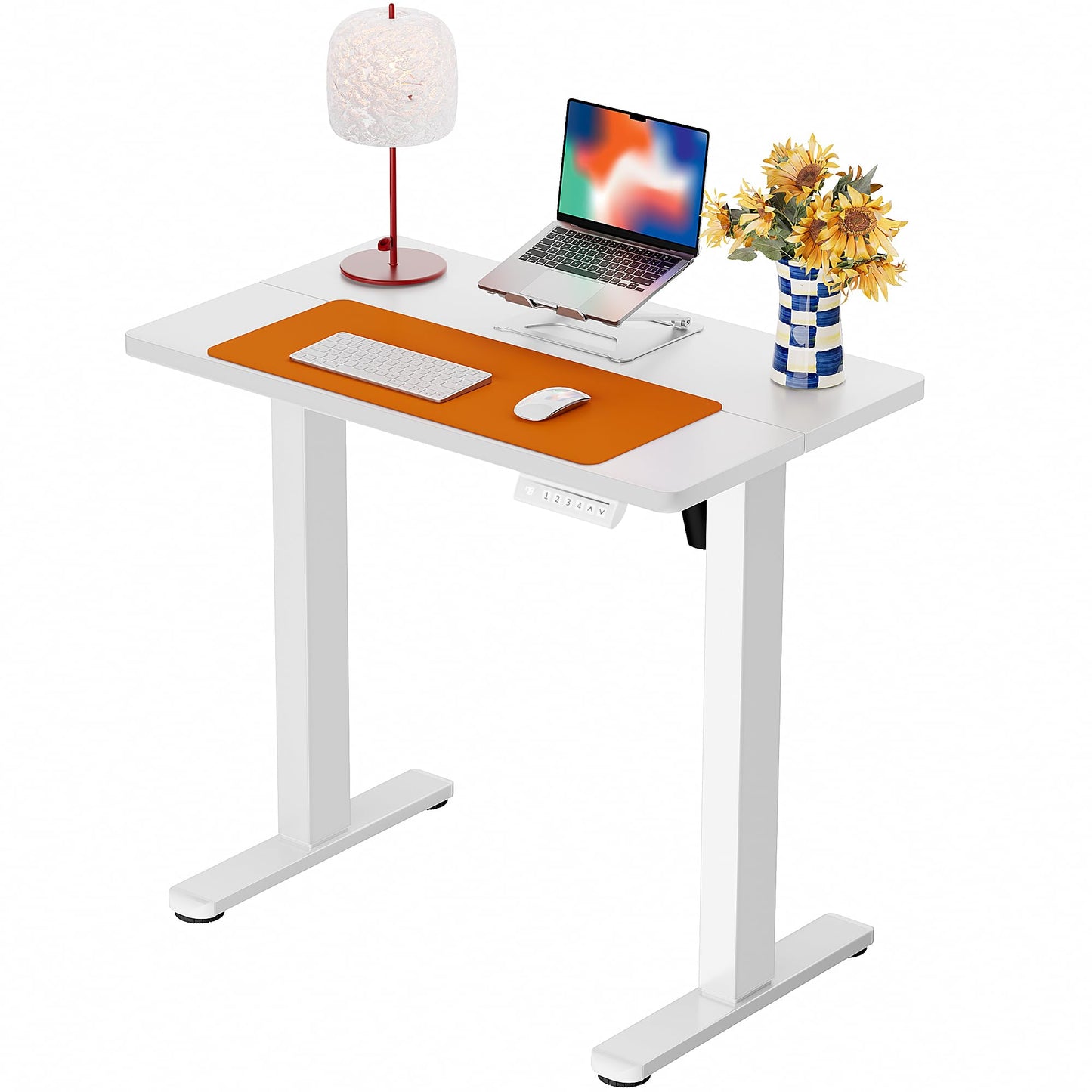 ErGear Height Adjustable Electric Standing Desk