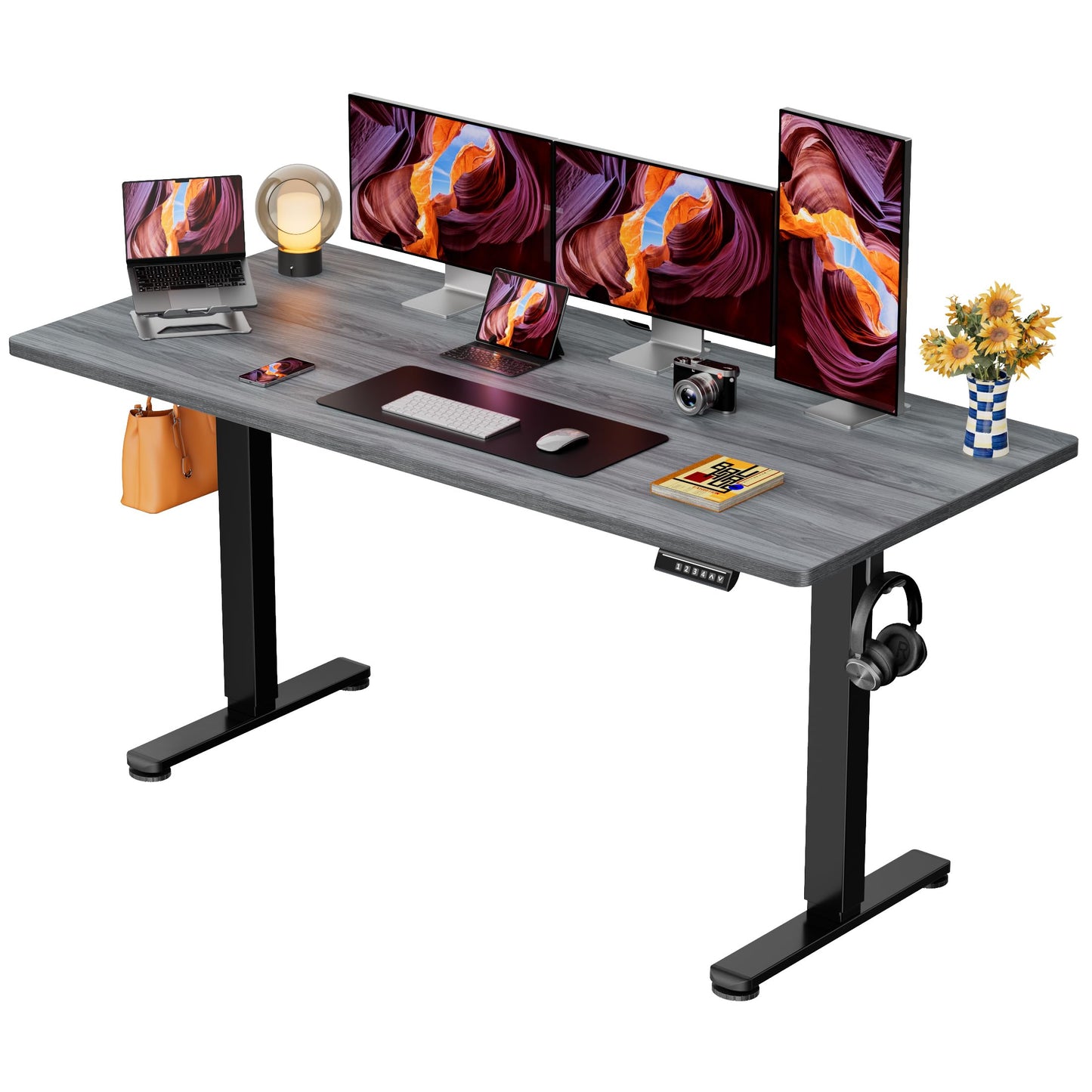 ErGear Height Adjustable Electric Standing Desk
