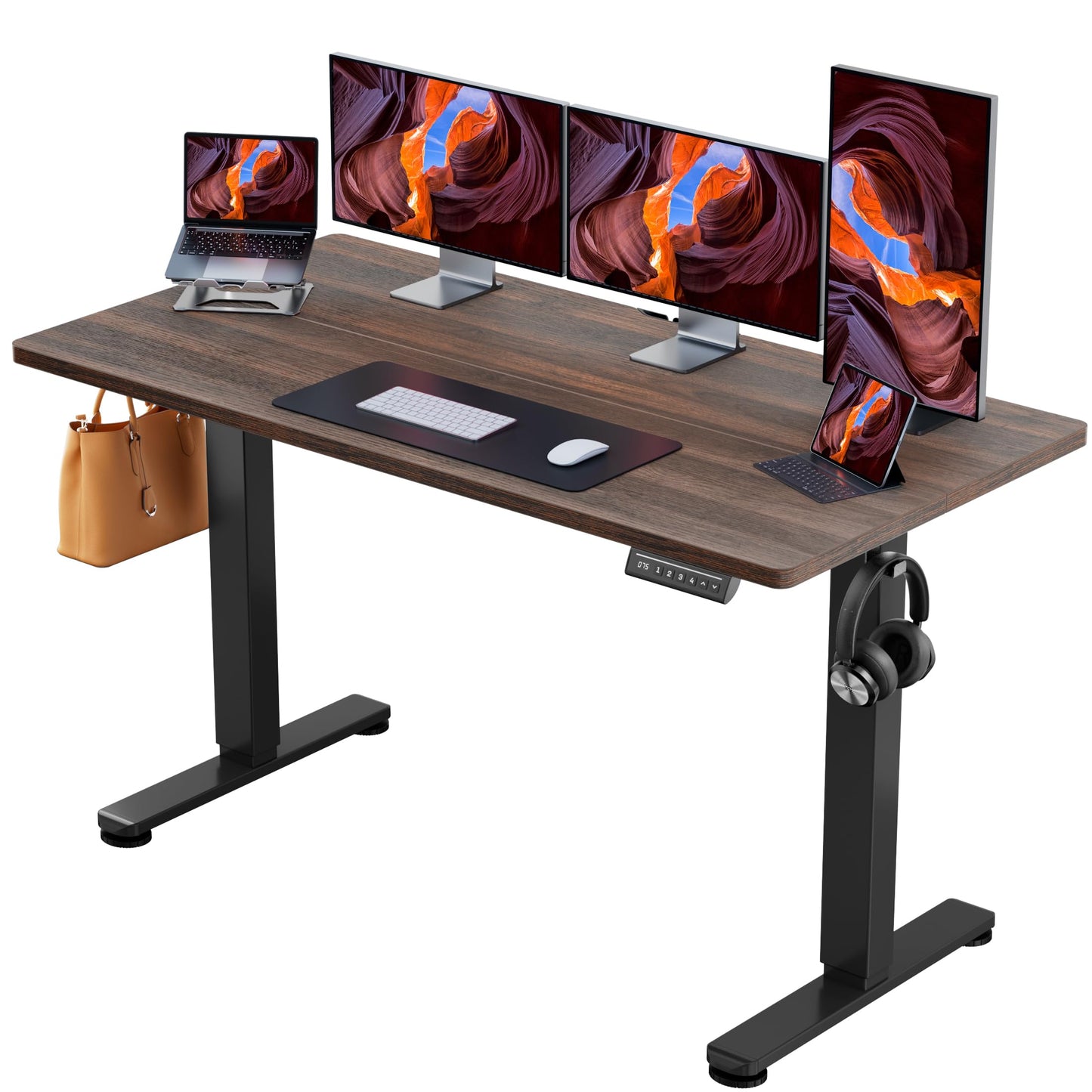 ErGear Height Adjustable Electric Standing Desk
