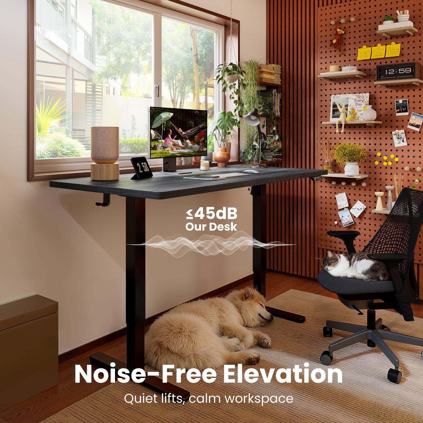 ErGear Height Adjustable Electric Standing Desk