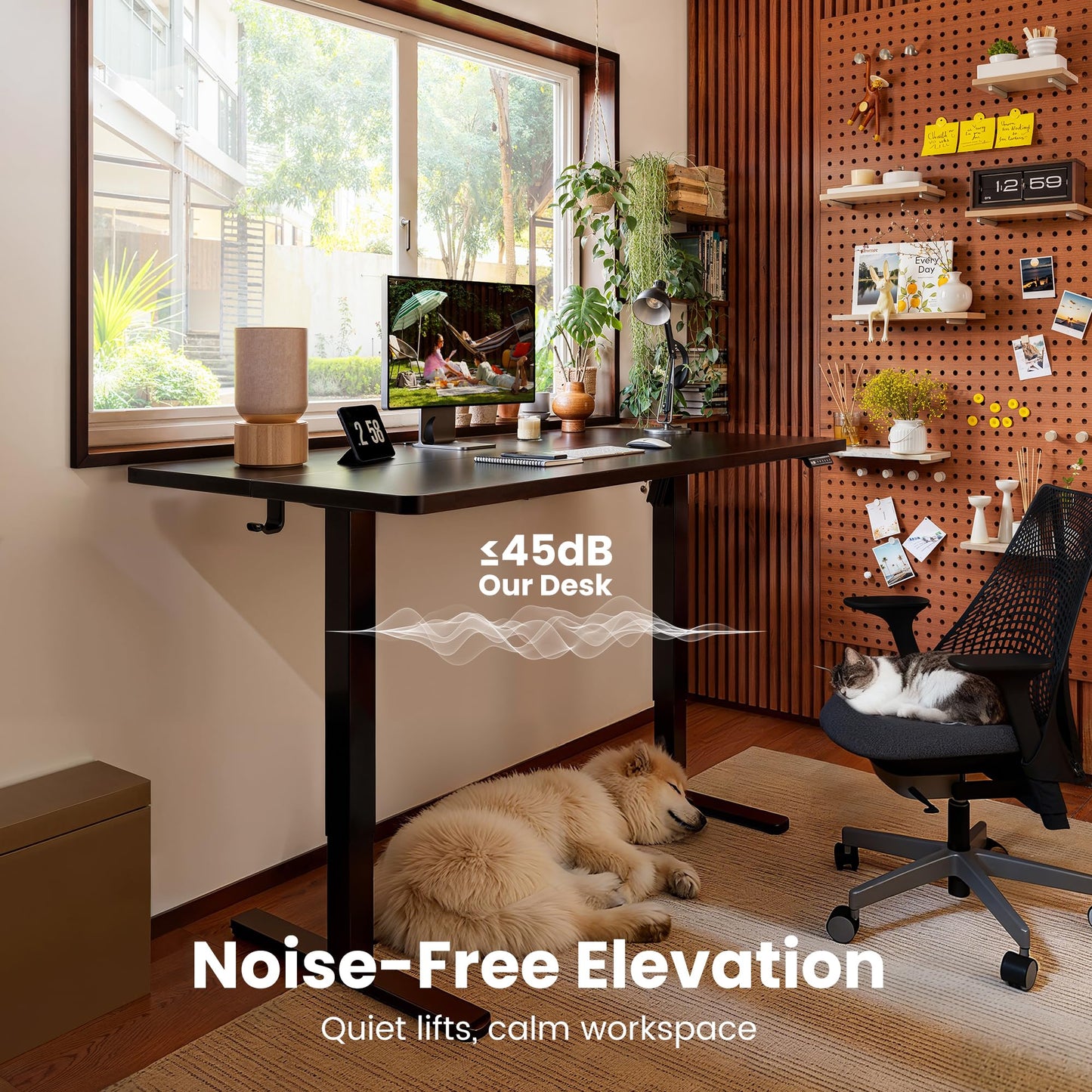 ErGear Height Adjustable Electric Standing Desk
