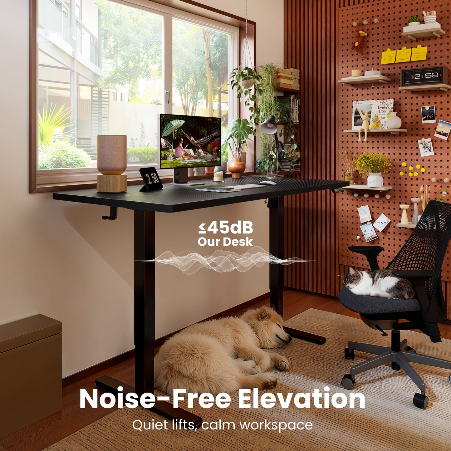 ErGear Height Adjustable Electric Standing Desk